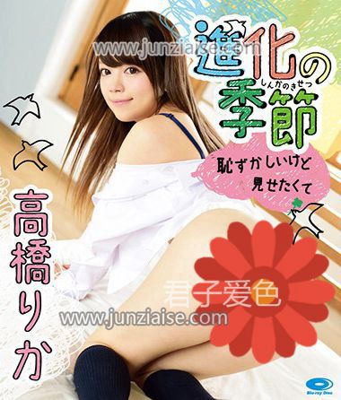 HAHOB-004 高桥里香