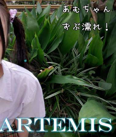 ARTMF-026 姫崎あむ